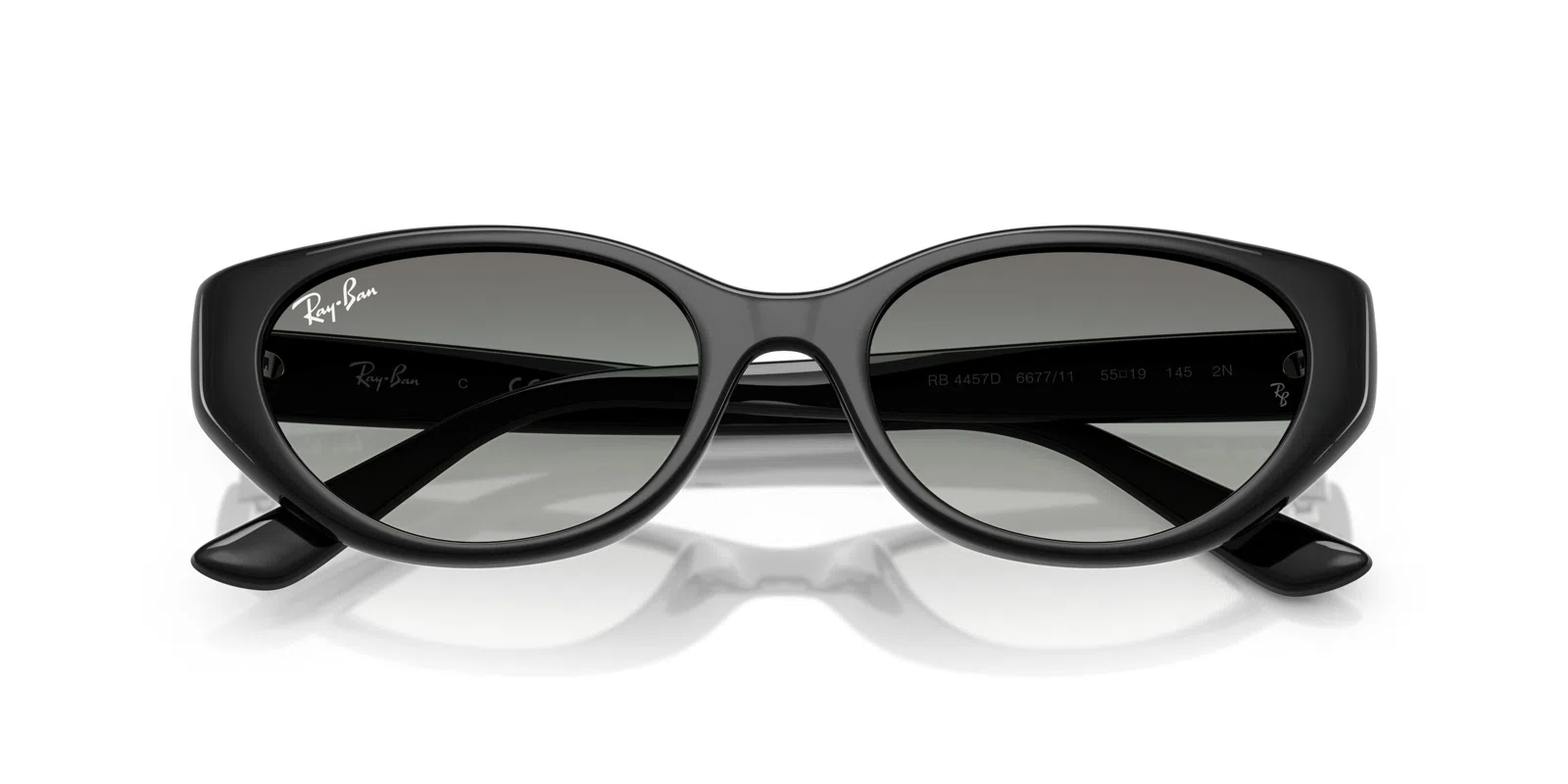 Ray-Ban 4457D Sunglasses - view 16